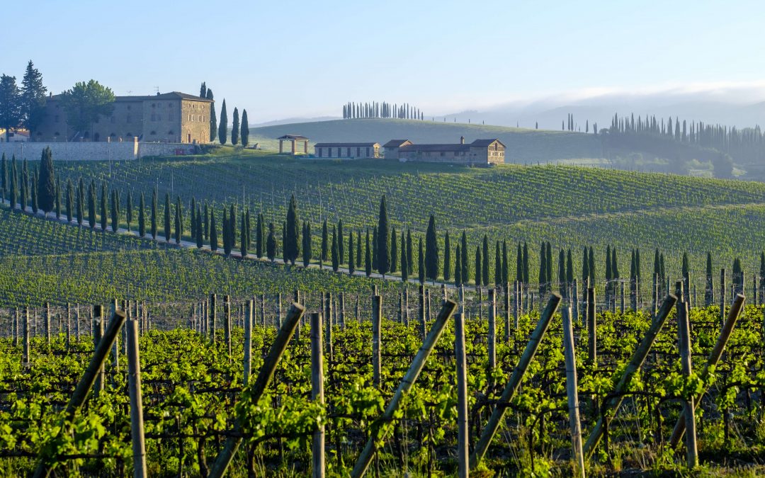 The Tuscan countryside: Siena, Pienza, and Montepulciano