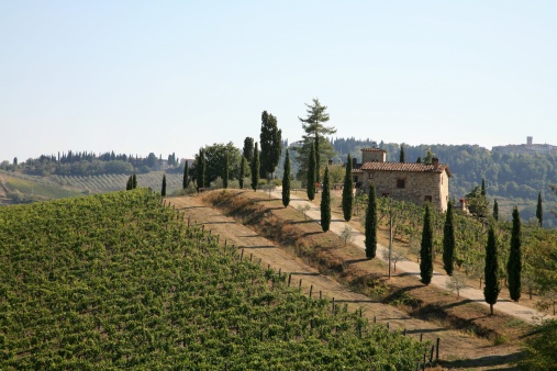 Italy, Country of Wine and Ancient Traditions