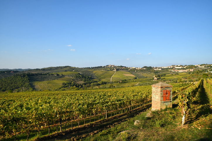 The Italy of Wine: Some of the Most Interesting Wineries in the Country