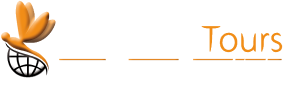 Dragonfly Logo