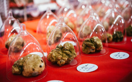 international alba truffle fair in piedmont