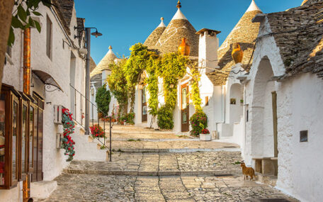 alberobello trulli province of bari