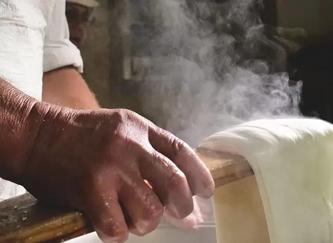 making of Italian cheese mozzarella