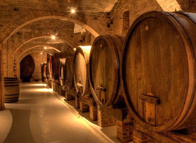 Lucca wine tasting tour