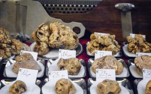 Italian white truffles