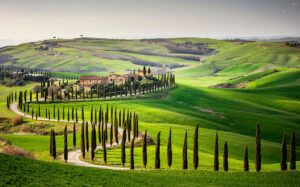 val d'orcia cypress trees Tuscany