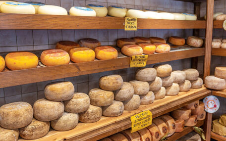 Italian cheese pecorino