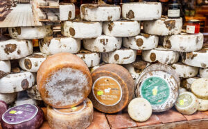 Italian cheese experience