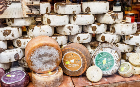 Italian cheese experience